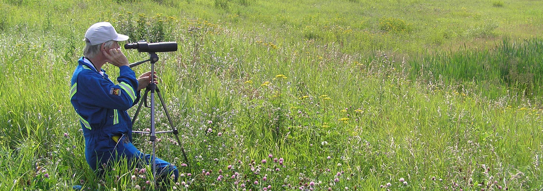 Wildlife observation