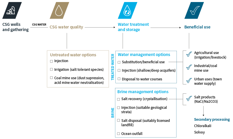 Conceptual CSG water strategy
