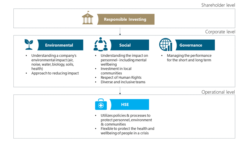 ESG pillars infographic